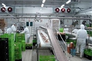 ISO 22000