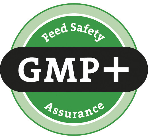 GMP + FSA