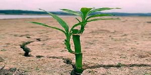 ISO 14001